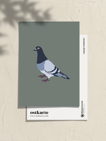 Stadttaube Leipzig, Postkarte A6